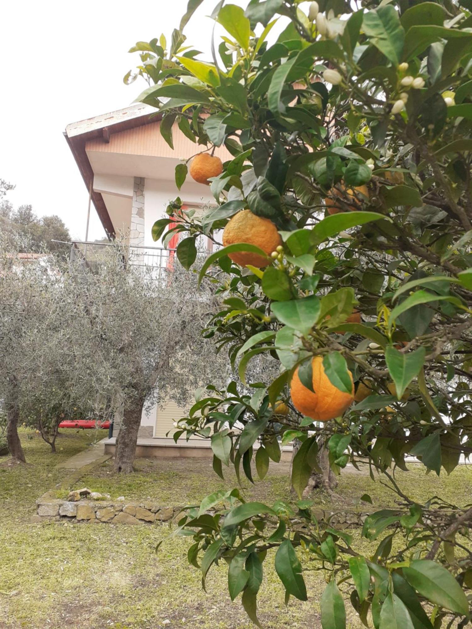 Casetta Al Mare Giustenice Buitenkant foto
